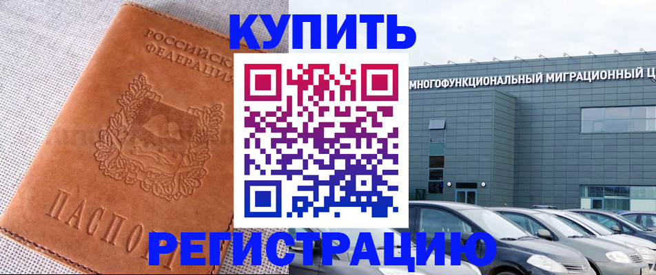 прописка законно в Заринске